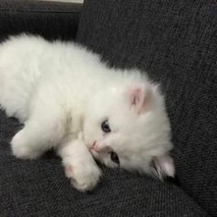 атрофия головного мозга