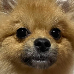 내가 들으려고 올리는 계정