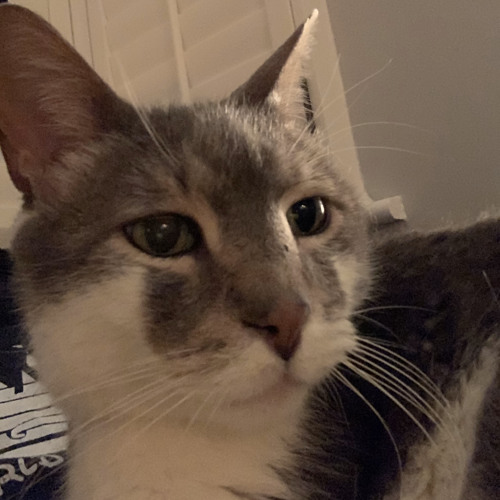 Freak the Funk - Can't Stop Won't Stop