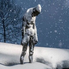 Vladimir Evex