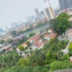 Đức Nhi Nguyễn
