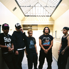 DOGMA SOCIETY