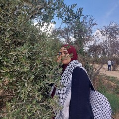 نيرة اليماني