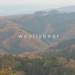 Woolley Bear