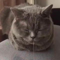tiredsleepy