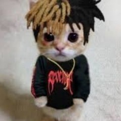 LUV IS RAGE