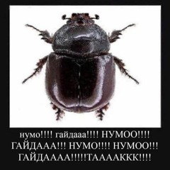 тоня