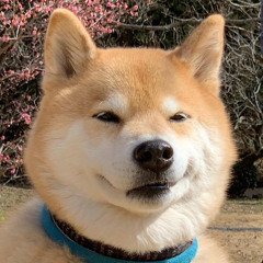 NhanHo