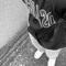 Leon_MKB