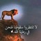 Ahmed Al Rayk