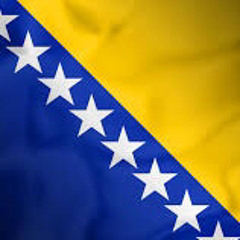 Emir Hindic