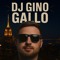 Dj Gino Gallo