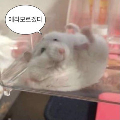 갱민갱