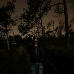 makemeshine