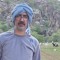 mohsen navi