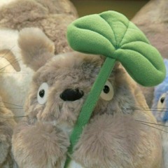 Here is Taffy