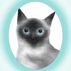 데이트(구남cover)