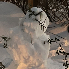 Ice-E