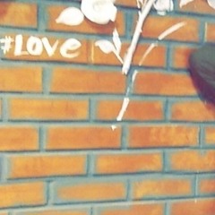 noga