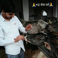 Mohit Pachar