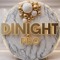 Dinight Pro II