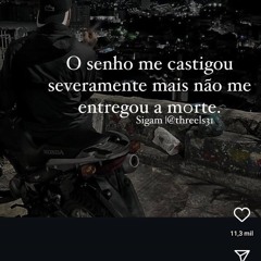 qlf da mídia 🍀💭
