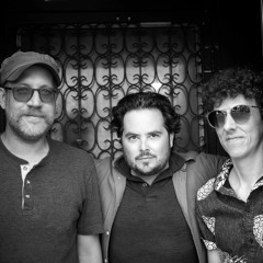 Run With the Kittens