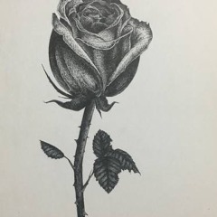 Twitch_Refuse77