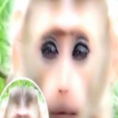 Ambatakkum