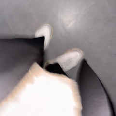 Stone Marble #scfirst