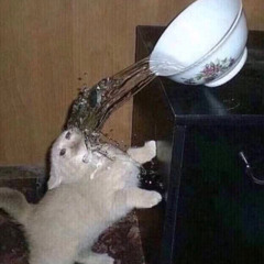 Meadru