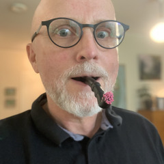 Muumipappa