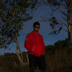 camilo meneses