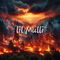lil Mulli