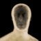 sternum