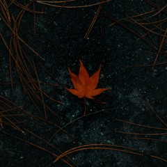 T_K