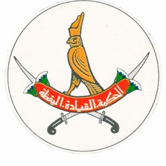 الجيش المصري