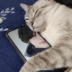 شهد