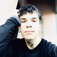 agusteein
