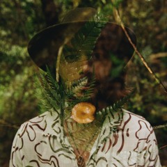 Organico Vinyl