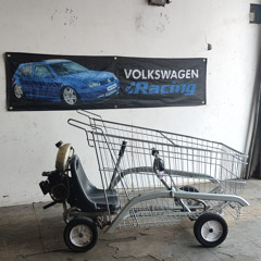 shoping cart lad