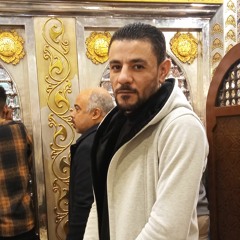 Mahmoud Ali Bakr