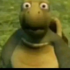 .d_jsh