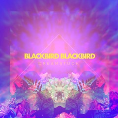 BLACKBIRD BLACKBIRD