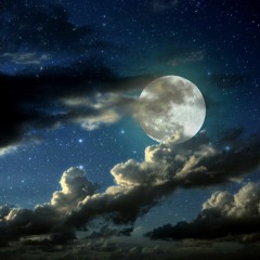Stories Of The Prophets | Abu Hakeem Bilal Davies