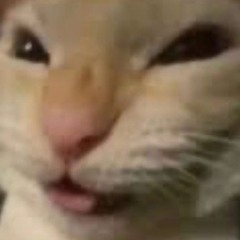 rainyraingaubrrt