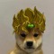 Dio brando