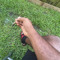 h0thead_.d3