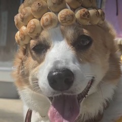 냠냠