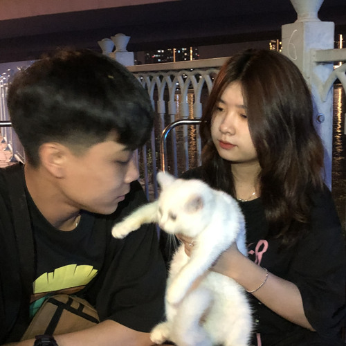 Tình bạn diệu  kỳ  remixx